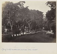 Batavia - Gang Scott