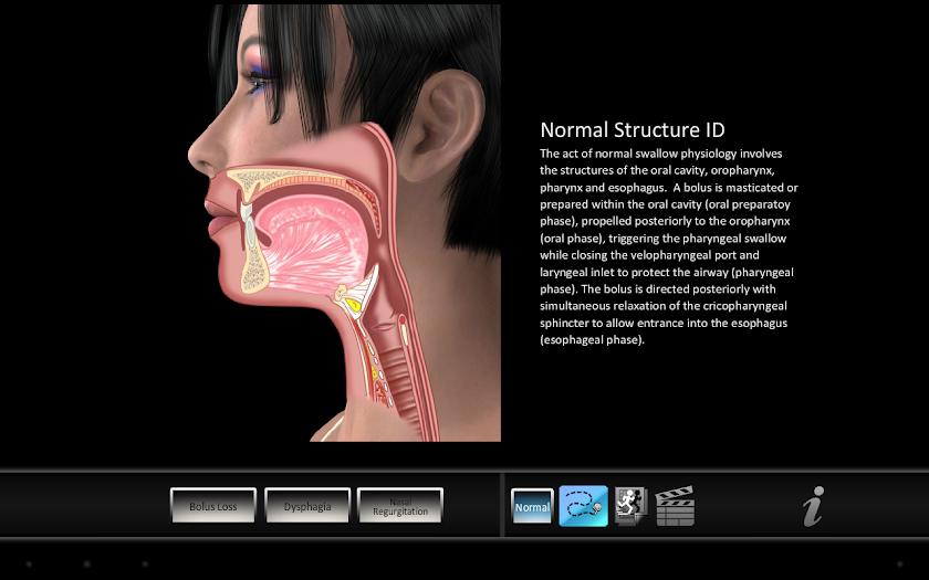 Swallowing Oral Screen 2