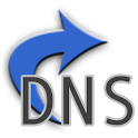 DNS Changer logo