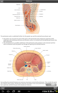 Free Download Gray's Pelvis Perineum Abdomen APK for Android