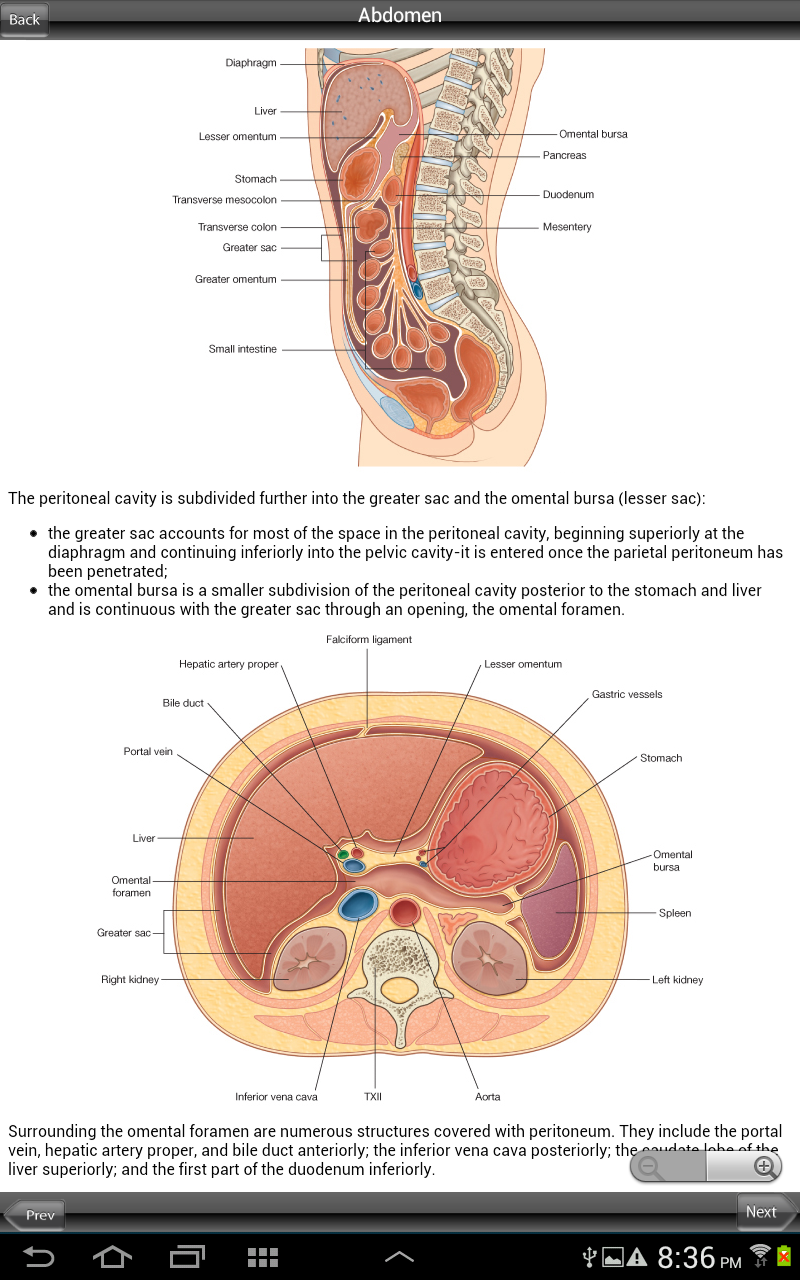 Grays Pelvis Perineum Abdomen Screen 3