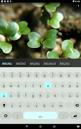 Igbo Keyboard plugin poster 1