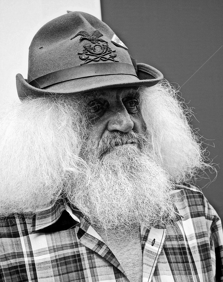 Garibaldi by Diocleziano Galella - People Portraits of Men