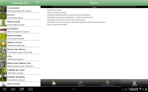 Diagnoses - Arroz Irrigado Screenshots 4