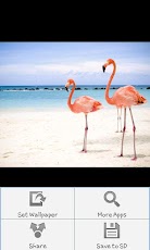 Paradise HD Wallpapers