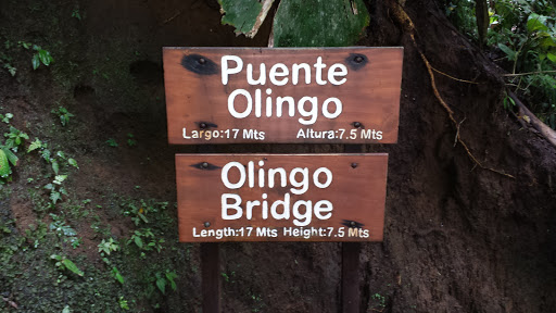 Olingo Bridge - Arenal Hanging Bridges