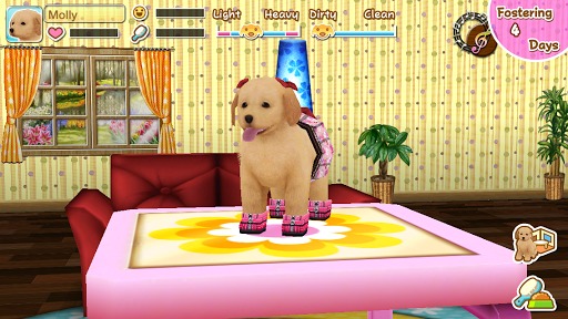 【免費家庭片App】My Dog My Room 2-APP點子