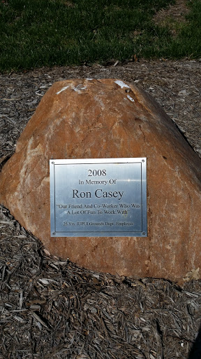 In Memory of Ron Casey