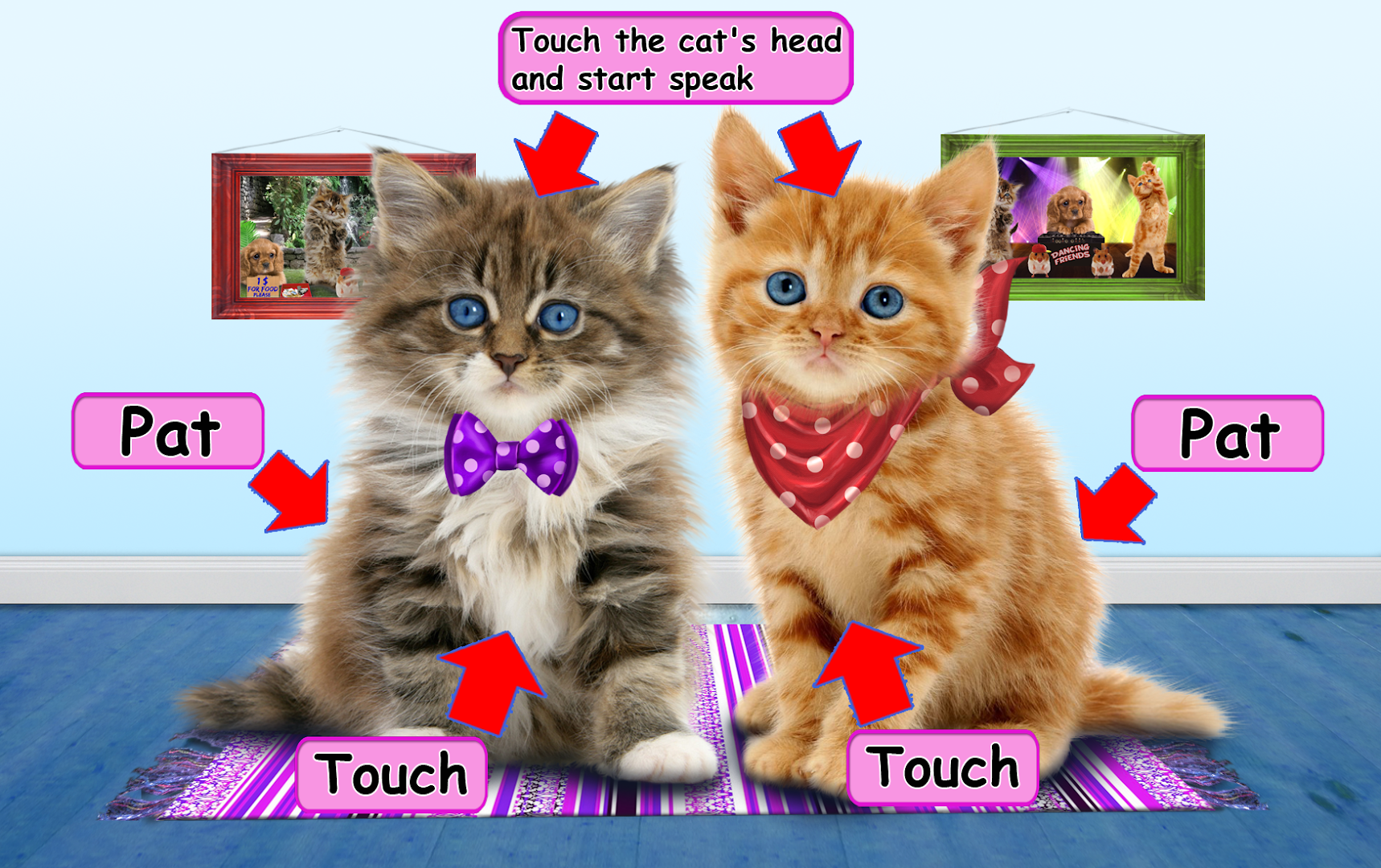 Download Wallpaper Gambar Kucing Lucu Gudang Wallpaper