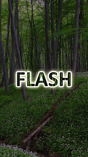 Flash App