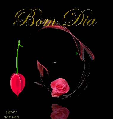 BOMDIAFELIZ.png