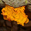 Witches' Butter