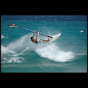 Windsurfing illustrated logo