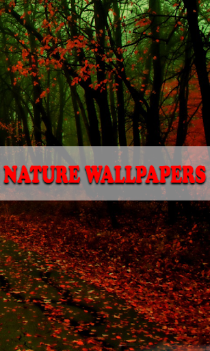 Nature Wallpapers