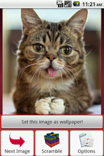 Cats Puzzle Screenshots 11