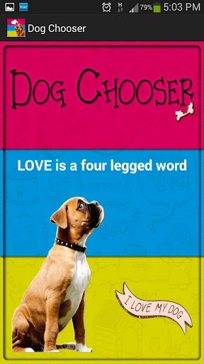 Dog Breed Chooser