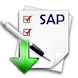 SAP asset