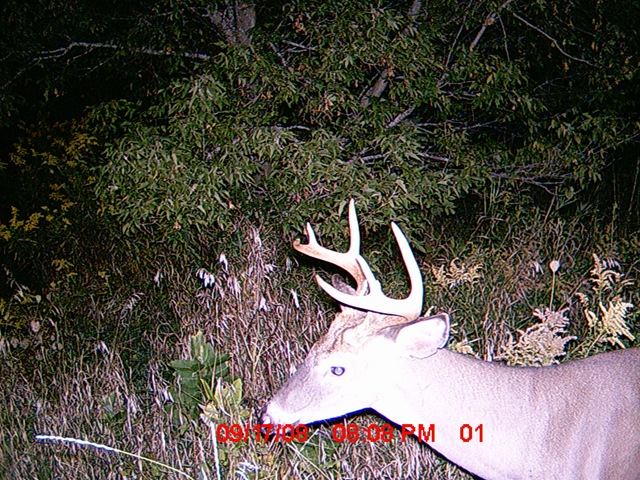 [MDGC0010[3].jpg]