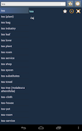 English Czech dictionary poster 9