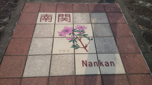 南関 ツツジ Nankan