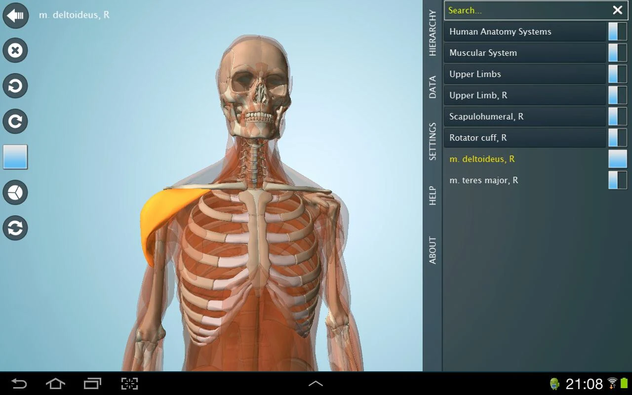   Anatomy 3D Pro - Anatronica: captura de tela 