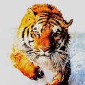 3D tiger 5 logo