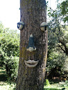 The Tree With A Face 