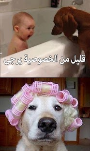 How to download CoolPix 1.6 mod apk for laptop