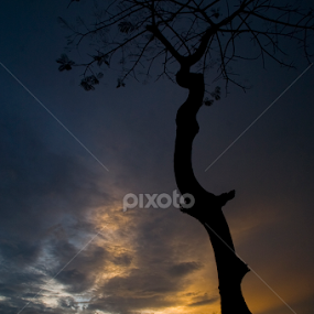 Alaone at last by Taufique Rahman - Landscapes Sunsets & Sunrises