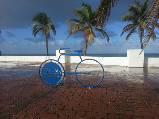 Ultimo Trolley Bike