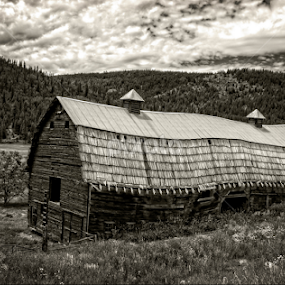 Old Barn by Tammy Arruda - Black & White Buildings & Architecture
