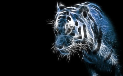 White Tiger Wallpapers HD