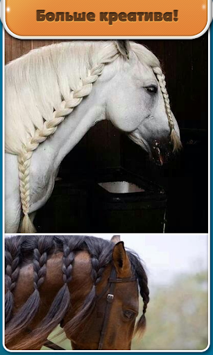 Hairstyles Animals