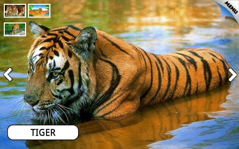 Zoo and Farm Animals for Kids Screen 2