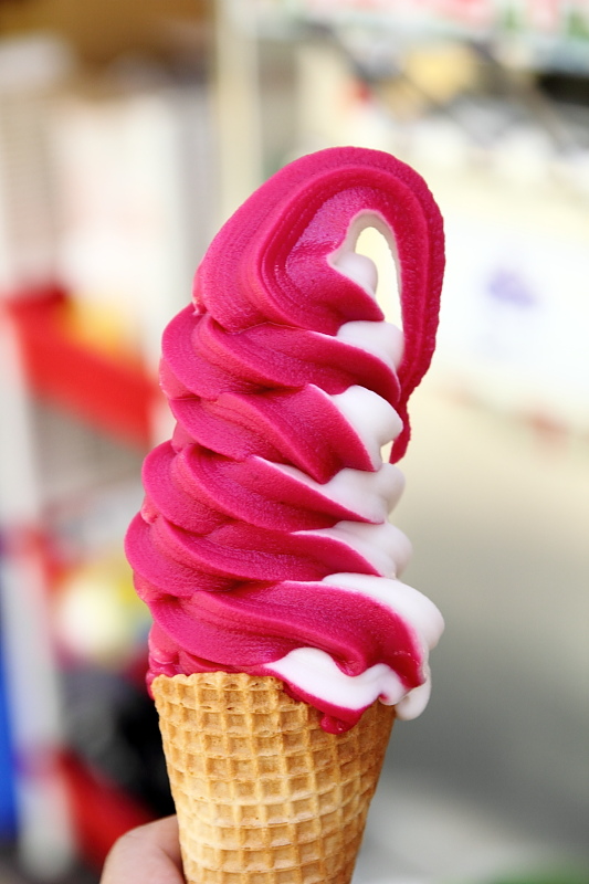 [食記] 澎湖 黑妞仙人掌蘆薈露