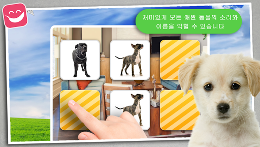 免費下載教育APP|메모리 게임 애완동물  의 유치원생 아동과, 메모 게임 app開箱文|APP開箱王