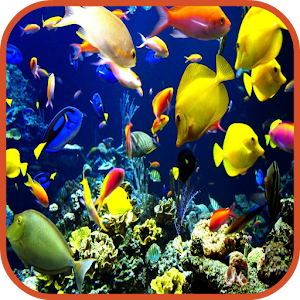 Fish Wallpaper 1.0