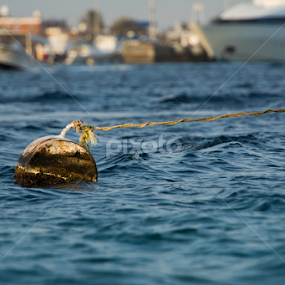 Floating by Mohammad Alqorashi - Landscapes Waterscapes