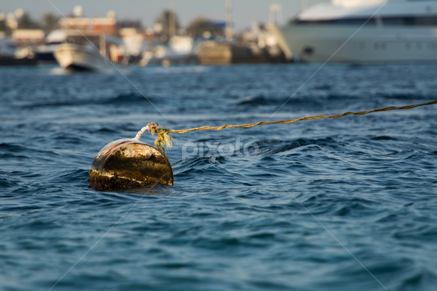 Floating by Mohammad Alqorashi - Landscapes Waterscapes