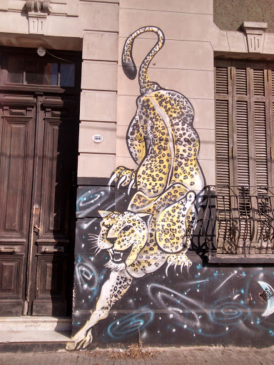 Grafiti Jaguar