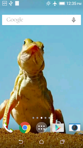 Funny Lizard Live Wallpaper