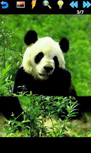 Download Animal Puzzle APK for Android