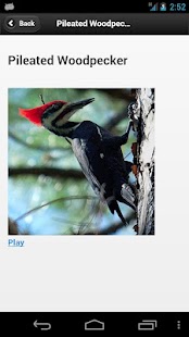 How to mod Kootenay Birds patch 1.0 apk for android