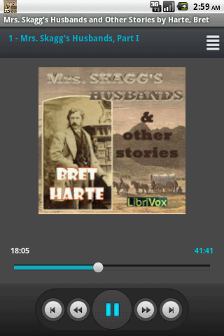 Audio Book Mrs Skaggs Husbands