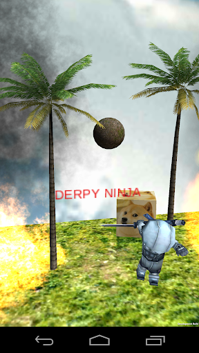 Derpy Ninja