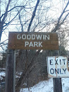 Goodwin Park 