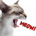 The Cat’s Meow logo