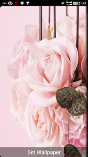 Romantic ringtones Screenshots 2
