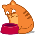Cats Widget icon