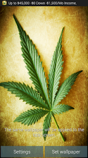 download Marijuana Leaf Wallpaper free